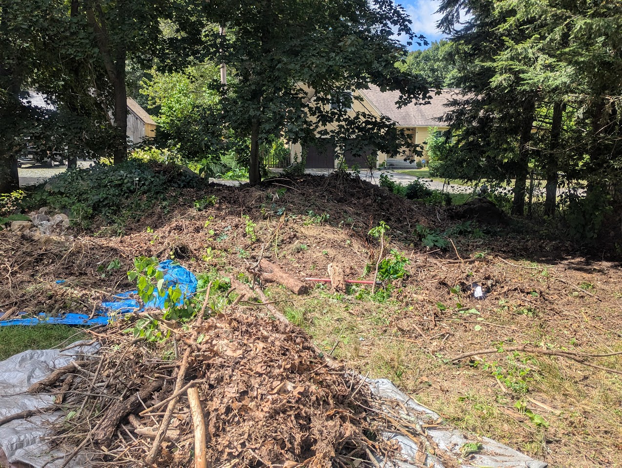 yard_before